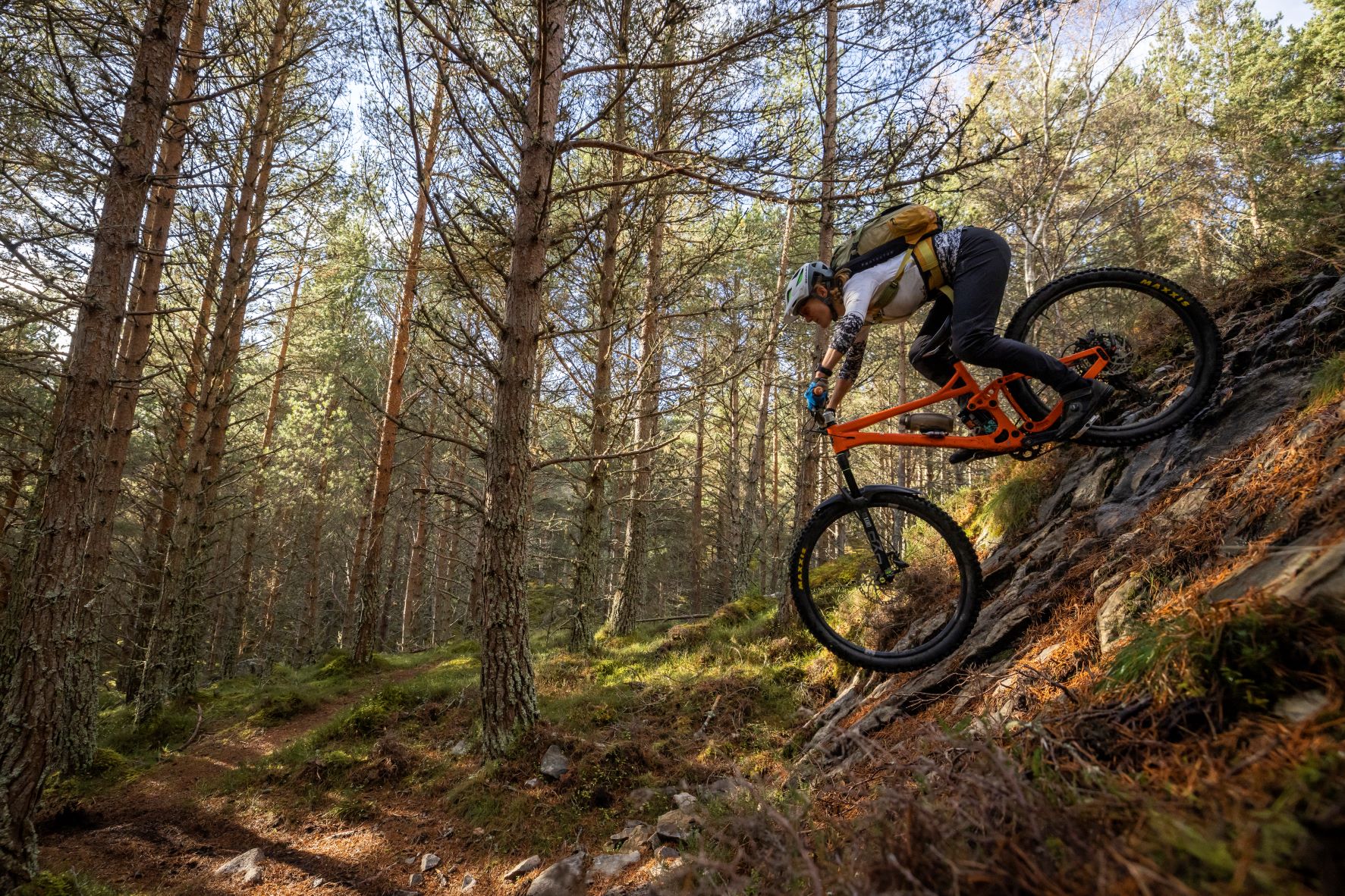 Trails of the Strath Our Favourite Aviemore area MTB Trails Glenmore Lodge